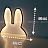 Настольный светильник ins Miffy Rabbit фото 2
