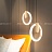 Серия подвесных светодиодных светильников с отделкой в цвете латунь по внутреннему контуру кольцевидного плафона GINA B черный фото 14