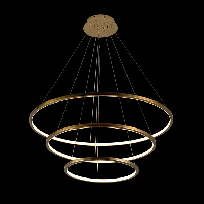 Подвесной Светильник Ring 10015/3 фото 4