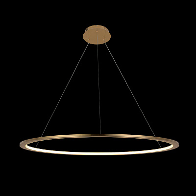Подвесной Светильник Ring 10014XL фото 4