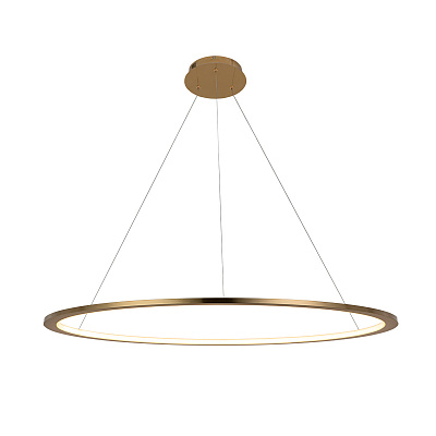 Подвесной Светильник Ring 10014XL фото 3