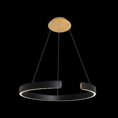 Подвесной Светильник Ring 10025/600 Black фото 4