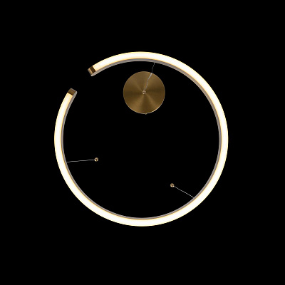 Подвесной Светильник Ring 10013M фото 6