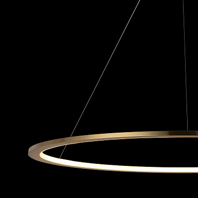 Подвесной Светильник Ring 10014XL фото 8