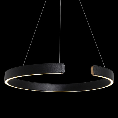 Подвесной Светильник Ring 10025/600 Black фото 6