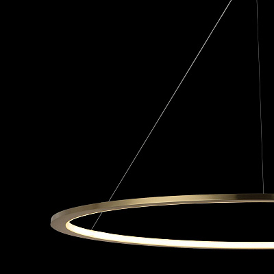 Подвесной Светильник Ring 10014XXL фото 6