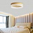 Серия цветных тонких светодиодных потолочных светильников WHEEL СерыйБольшой (Large) фото 6