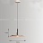 Подвесной светодиодный светильник с круглым плафоном на дисковидном матовом корпусе EUREKA A белый фото 3