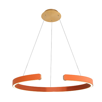 Подвесной Светильник Ring 10025/600 Orange фото 3