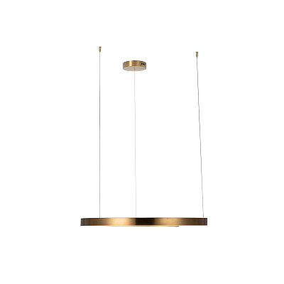 Подвесной Светильник Ring 10013L фото 3