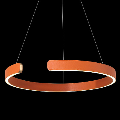 Подвесной Светильник Ring 10025/400 Orange фото 6